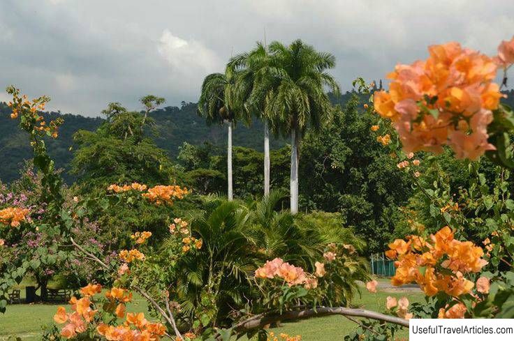 Hope Botanical Gardens description and photos - Jamaica: Kingston