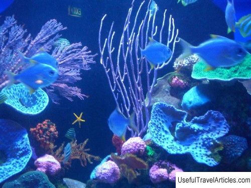 Aquarium of Western Australia (AQWA) description and photos - Australia: Perth