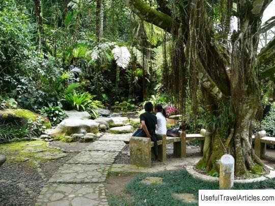 Botanical Garden Bali Kebun Raya Eka Karya Bali Description And Photos Indonesia Bali