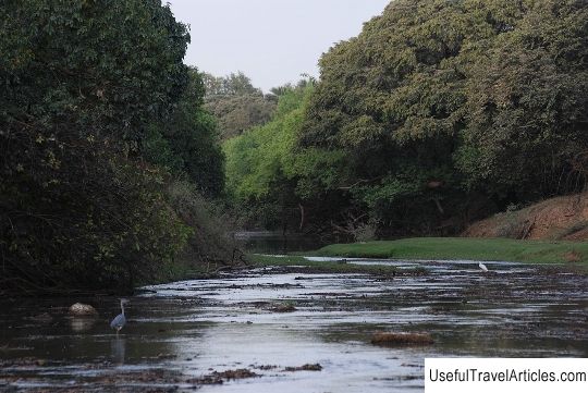 Pendjari National Park description and photos - Benin