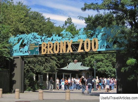 Bronx Zoo description and photos - USA: New York