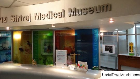 Siriraj Medical Museum description and photos - Thailand: Bangkok