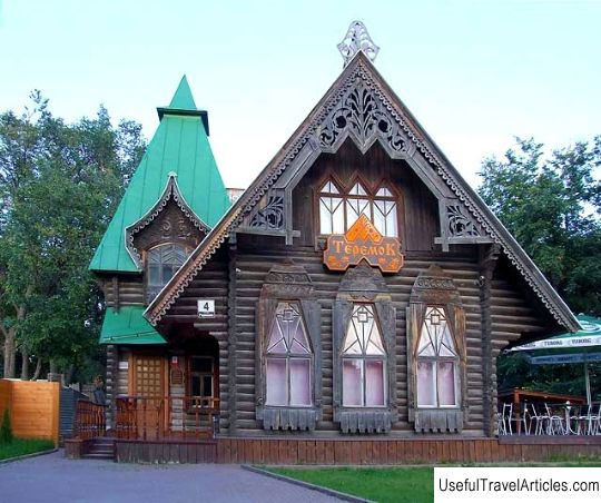 House of merchant Bokounin description and photos - Russia - Volga region: Ulyanovsk