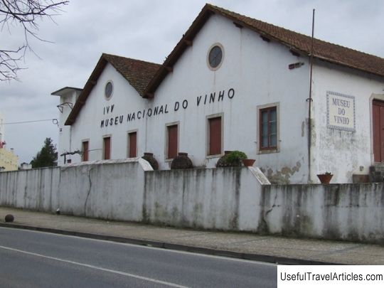 Wine Museum (Museu do Vinho) description and photos - Portugal: Alcobasa