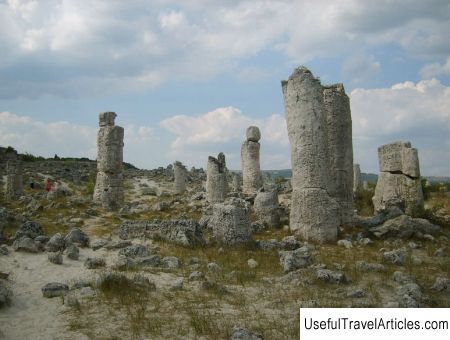 Valley ”Stone Forest” (Pobiti Kamani) description and photos - Bulgaria: Varna