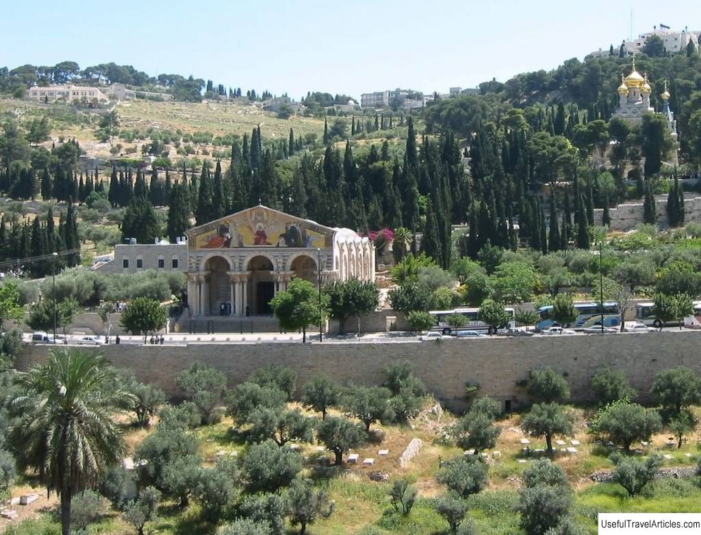 The Garden of Gethsemane description and photos - Israel: Jerusalem