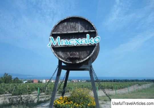 Winery ”Myskhako” description and photo - Russia - South: Novorossiysk