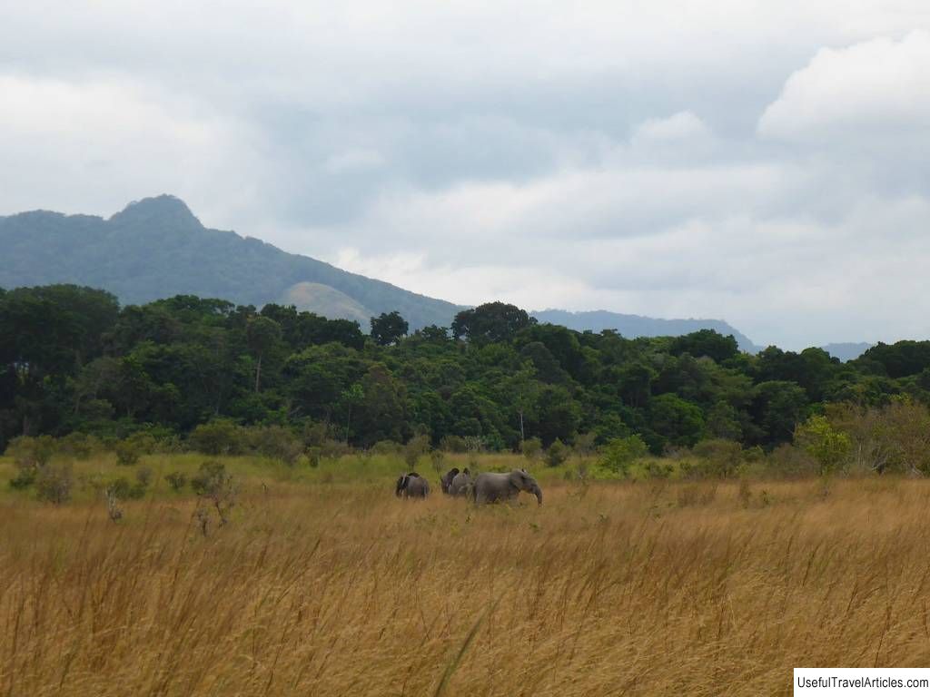 Lope National Park description and photos - Gabon