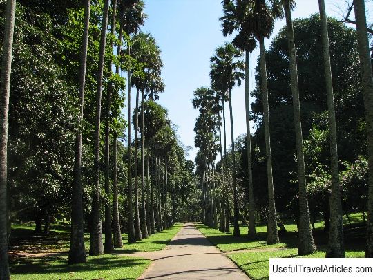 Royal Botanical garden Peradeniya description and photos - Sri Lanka: Kandy