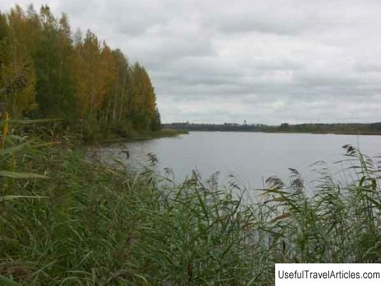 Landscape reserve ”Cheremenetsky” description and photo - Russia - Leningrad region: Luga district