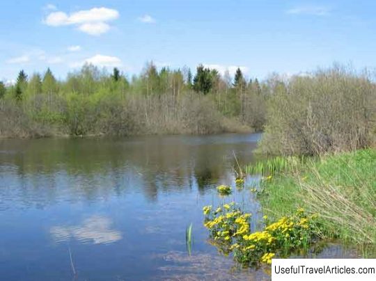 The origins of the Oredezh river in the Dontso tract description and photos - Russia - Leningrad region: Volosovsky district