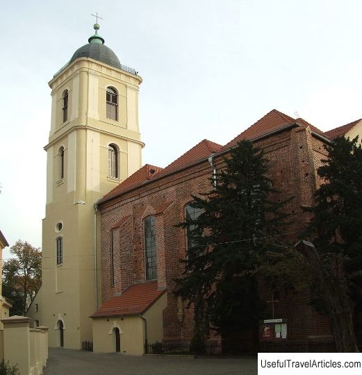 Cathedral of St. Jadwig (Konkatedra sw. Jadwigi) description and photos - Poland: Zielona Gora