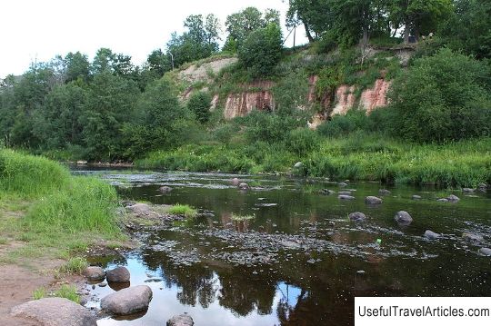 Reserve ”Glebovskoe swamp” description and photos - Russia - Leningrad region: Gatchinsky district