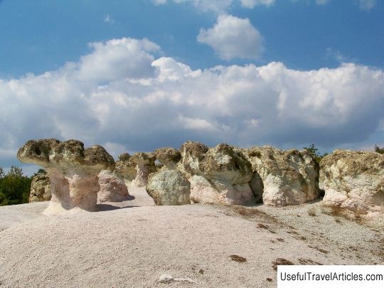 Rocks Stone mushrooms description and photos - Bulgaria: Kardzhali