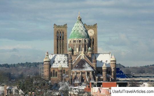 Cathedral of St. Bavo (Kathedrale Basiliek Sint Bavo) description and photos - Netherlands: Haarlem
