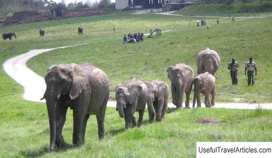 Knysna Elephant Park description and photos - South Africa: Plettenberg Bay