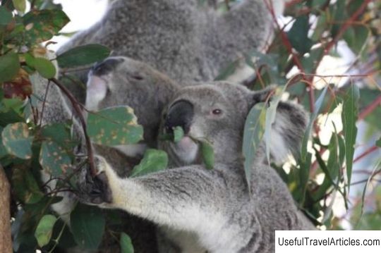 Cohunu Koala Park description and photos - Australia: Perth