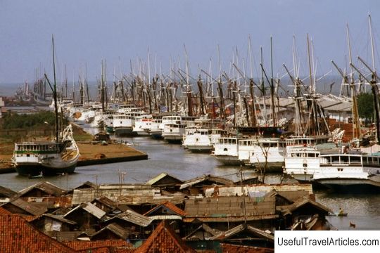 Sunda Kelapa Harbor description and photos - Indonesia: Jakarta