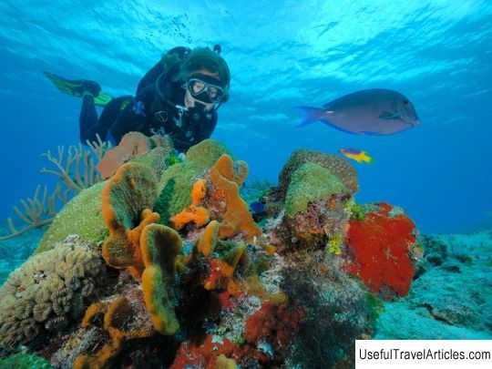 Cozumel Island Reefs National Park (Parque Nacional Arrecifes de Cozumel)  description and photos - Mexico: Cozumel Island 