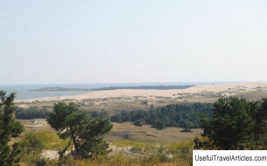 Bird migration on the Curonian Spit description and photos - Lithuania: Neringa