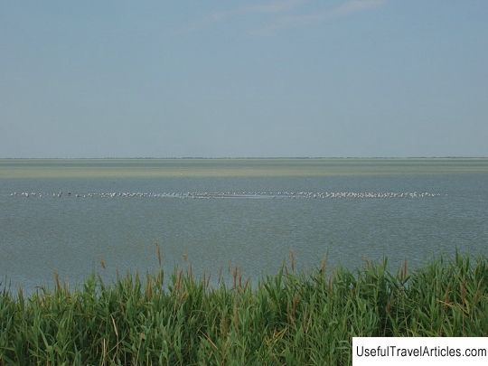 Lake Khan description and photo - Russia - South: Yeisk
