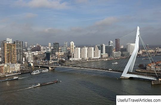 Erasmus Bridge (Erasmusbrug) description and photos - Netherlands: Rotterdam