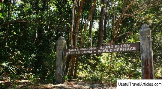 Ujung Kulon National Park description and photos - Indonesia: Java Island