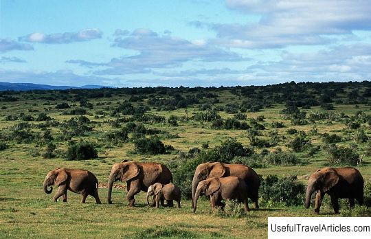 Addo Elephant National Park description and photos - South Africa