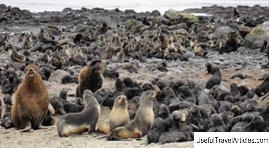 Komandorsky Nature Reserve description and photos - Russia - Far East: Kamchatka