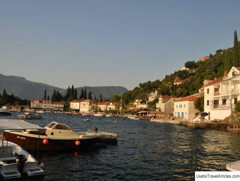 Rose description and photos - Montenegro: Lustica