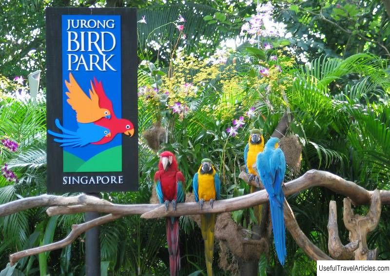 Jurong Bird Park description and photos - Singapore: Singapore