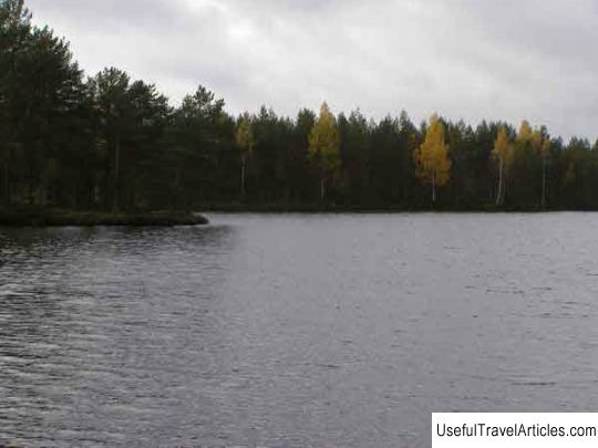 Wildlife reserve ”Swamp Ozernoe” description and photos - Russia - Leningrad region: Vyborgsky district