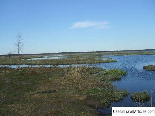 Nature reserve ”Sestroretskoe swamp” description and photo - Russia - St. Petersburg: Sestroretsk
