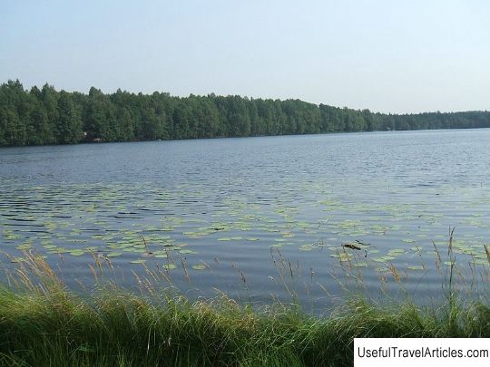 Reserve ”Levashovsky forest” description and photos - Russia - St. Petersburg: Kurortny district