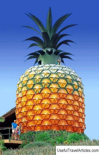 The Big Pineapple amusement park description and photos - Australia: Brisbane and the Sunshine Coast