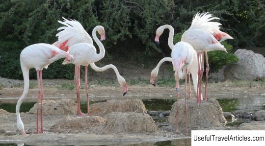 Attica Zoological Park description and photos - Greece: Athens