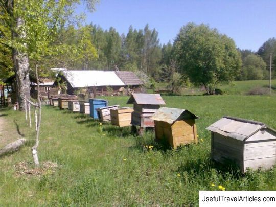 Museum ”Honey Farm” description and photos - Russia - North-West: Pskov region