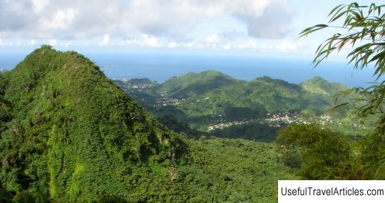 Grand Etang Forest Reserve description and photos - Grenada