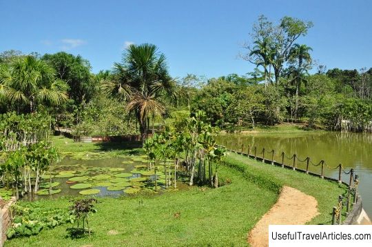 Crocodile Farm (Cayman Farm) description and photos - Peru: Iquitos