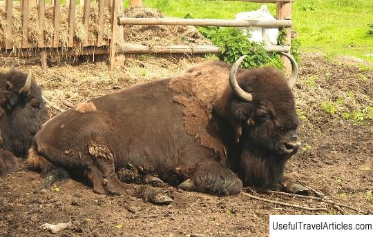 Toksovsky bison nursery description and photos - Russia - Leningrad region: Vsevolozhsky district