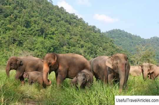 Elephant Nature Park description and photos - Thailand: Chiang Mai