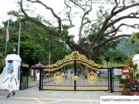 Botanical Gardens (Penang Botanic Gardens) description and photos - Malaysia: Penang Island