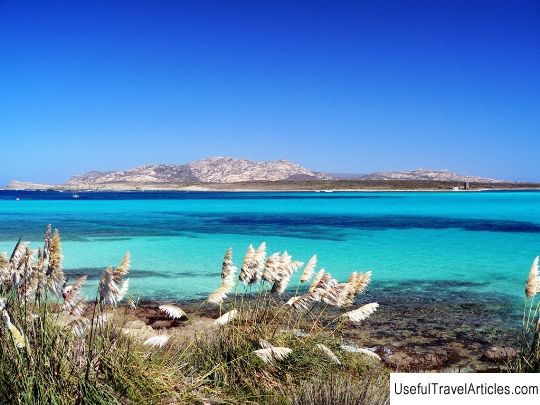 Asinara island description and photos - Italy: Sardinia island