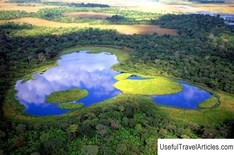 Pantanal description and photos - Brazil