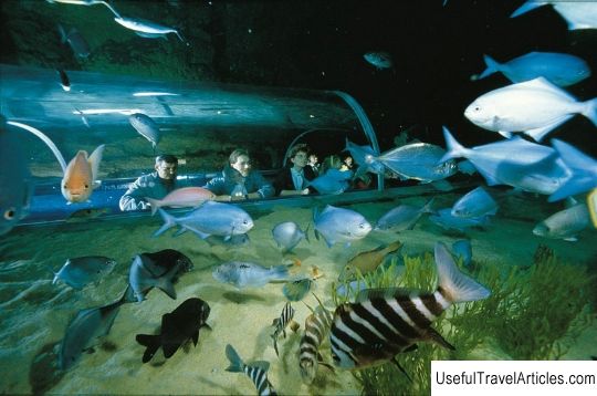 Aquarium Kelly Tarlton's Underwater World description and photos - New Zealand: Auckland