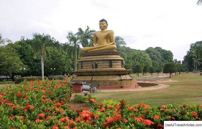 Spice Gardens (Cinnamon Gardens) description and photos - Sri Lanka: Koggala