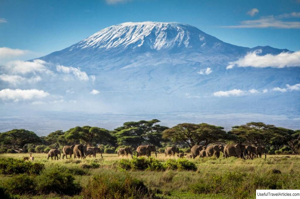 Kilimanjaro description and photos - Tanzania