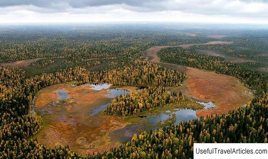Pinezhsky nature reserve description and photos - Russia - North-West: Arkhangelsk region