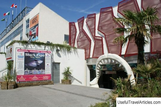 Aquarium, Reptilarium and Shark Expo description and photos - Italy: Lido di Jesolo