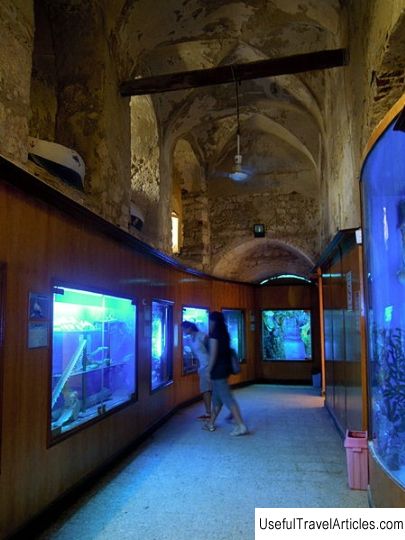 Hydrobiological Museum and Aquarium description and photos - Egypt: Alexandria